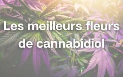Fleurs de cannabidiol de tres grande qualité